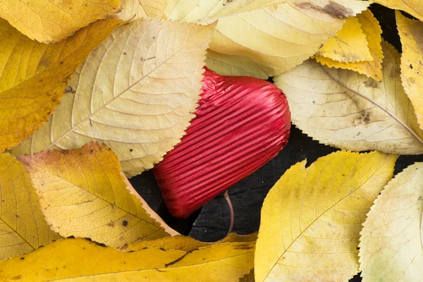Красное завернутое сердце и осенние листья — стоковое фото