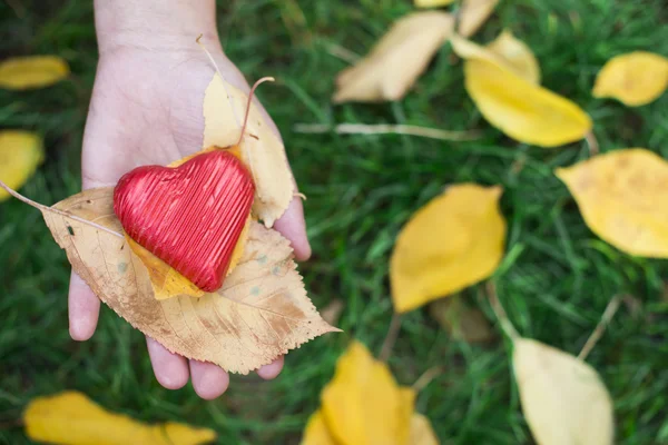 Mano sosteniendo el corazón rojo y hojas de otoño — Foto de Stock