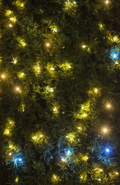 Alışveriş merkezindeki Noel ışıkları