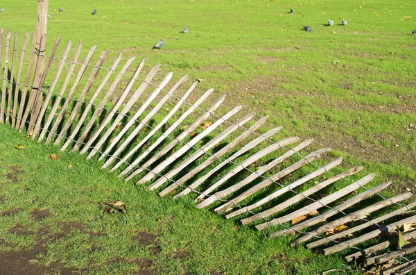 Green grass and fallen fence — Stock Photo, Image