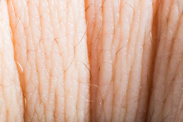 人間の皮膚を閉じます。マクロ表皮 — ストック写真