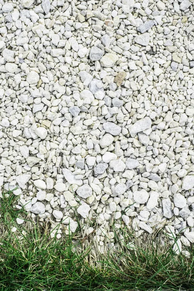 Hierba verde y piedras —  Fotos de Stock