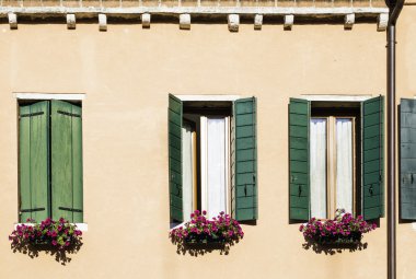 çiçekler ile Venedik windows