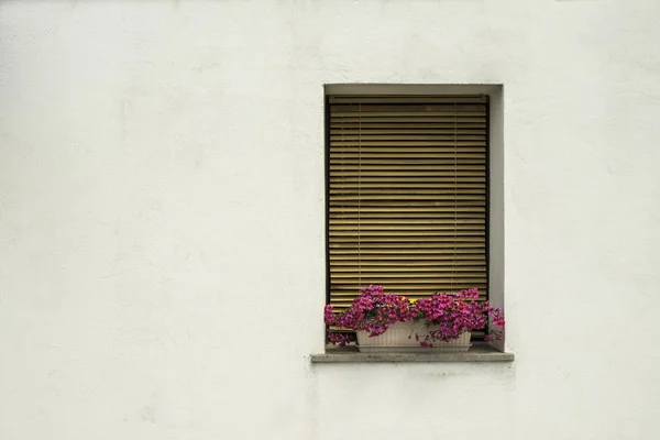 Ενετικό windows με λουλούδια — Φωτογραφία Αρχείου