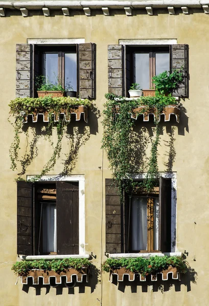 Venetiaanse windows met bloemen — Stockfoto