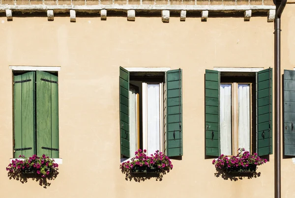 Venetian windows with flowers — Stock Photo, Image