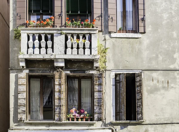 Венецианские окна с цветами — стоковое фото