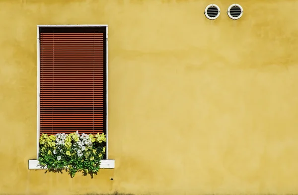 Janelas venezianas com flores — Fotografia de Stock