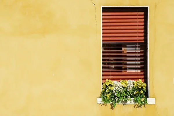 Venezianische Fenster mit Blumen — Stockfoto
