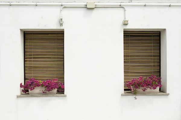 Venezianische Fenster mit Blumen — Stockfoto