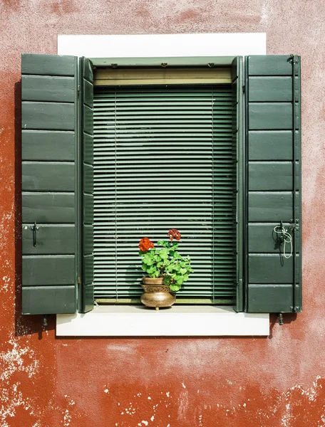 Janelas venezianas com flores — Fotografia de Stock