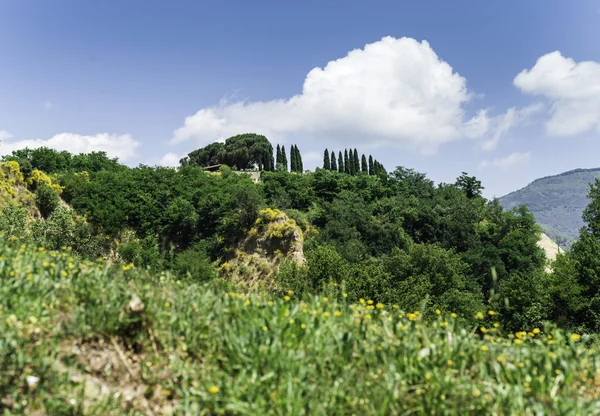 Paesaggio della Toscana — Foto Stock