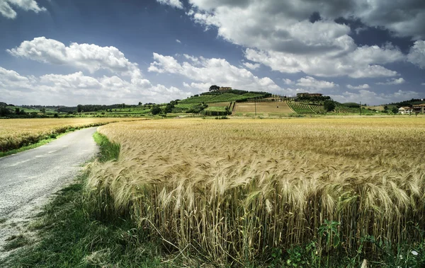 Cultivos de cereales y granja en Toscana —  Fotos de Stock