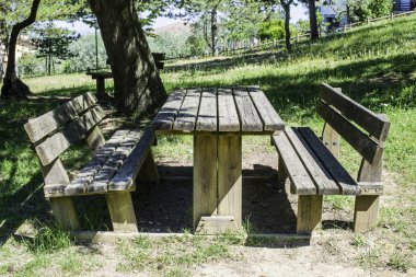 Ahşap banklar ve ormanın içinde bir tablo. 