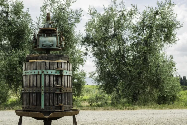 Vinatge olive press — Stock Photo, Image