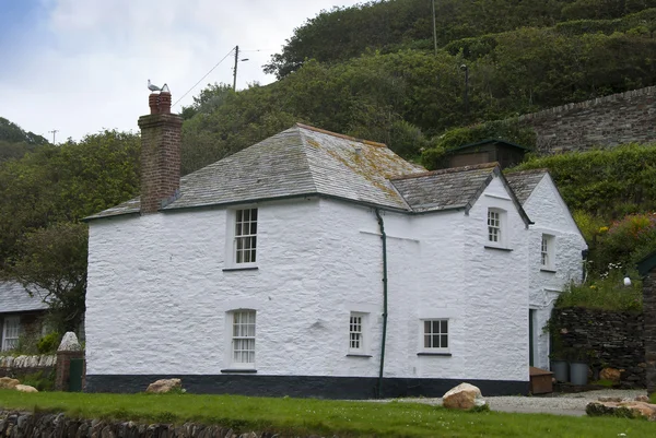 Cornish Cottage — Stock Photo, Image