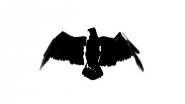 uçan kartal ön görünüm döngü siluet