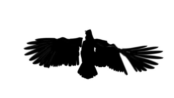 Silhouette boucle aigle volant vue de face 