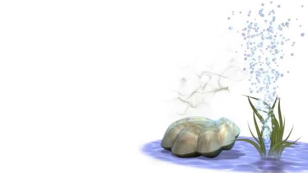 Caída de concha marina, maleza y perla en blanco aislado — Vídeo de stock