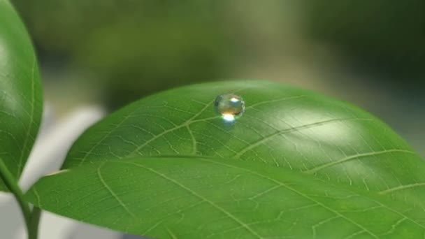Chute sur fond de nature 