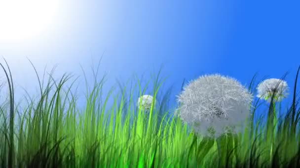 Pissenlit mobile et herbe avec fuzz volant 