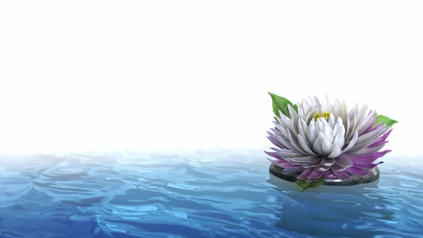 Decorative holiday background flower with stone on the water — Stock Photo, Image