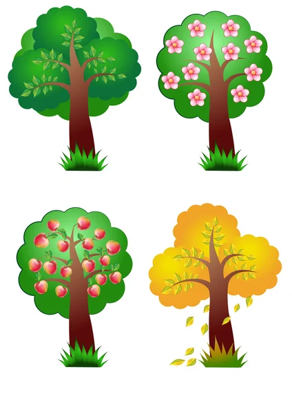 Nature vector elements four seasons tree — Stock Vector