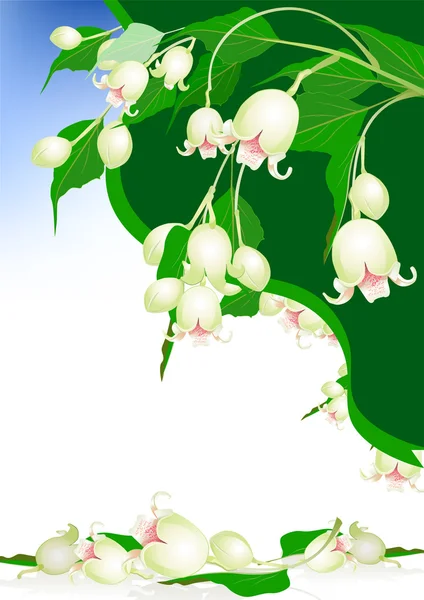 Прекрасні весняні дзвони квіти на елегантному фоні — стоковий вектор
