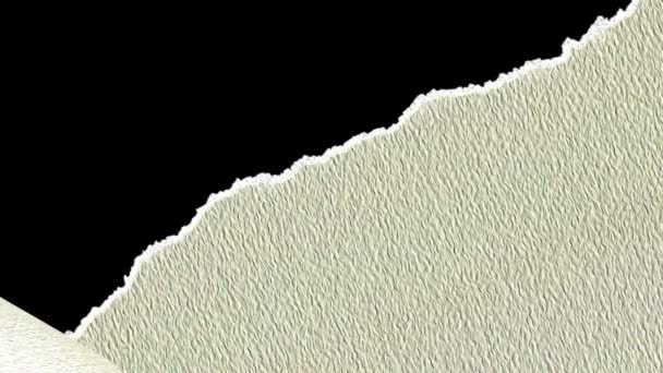 transition vidéo de différents papiers déchirés avec masque alpha 