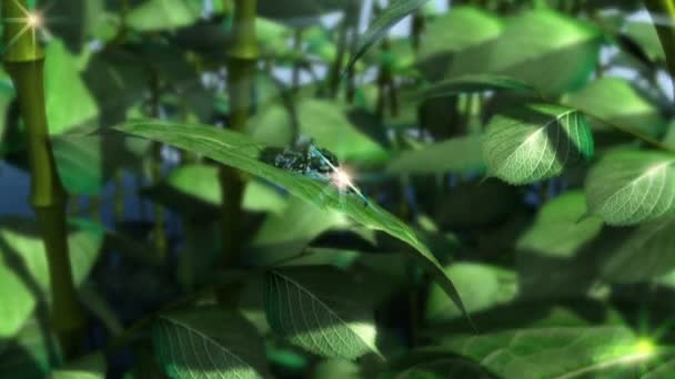 Gotas de agua animadas sobre el fondo del concepto de hoja — Vídeo de stock