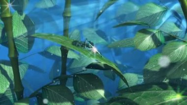 yaprak romantik kavramı arka plan üzerinde animasyonlu su damlaları