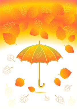 yaprakları şemsiye ile sonbahar arka plan