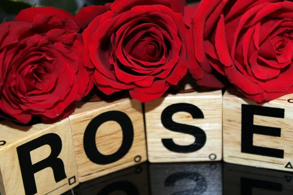 siyah bir arka plan ve kelimeler üç bordo gül