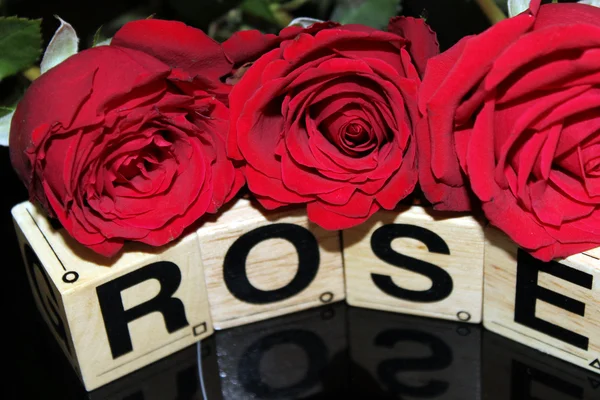 Burgundia rózsák fekete háttérrel és a szavak ki blokkok — Stock Fotó