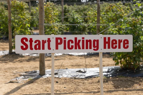 Teken beginnen plukken hier — Stockfoto