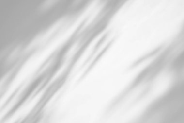 Beyaz arkaplan üzerinde gölge örtüsü etkisi. Bitkiler, yapraklar ve dallardan organik gölgeler içeren soyut güneş ışığı arka planı.