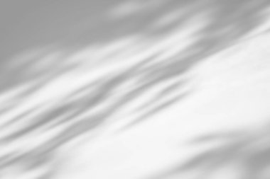 Beyaz arkaplan üzerinde gölge örtüsü etkisi. Bitkiler, yapraklar ve dallardan organik gölgeler içeren soyut güneş ışığı arka planı.