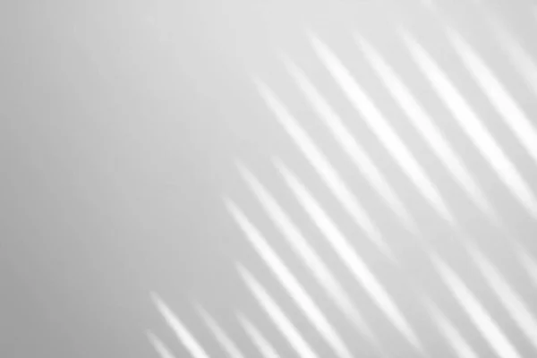 Schatten Overlay Effekt Auf Weißem Hintergrund Abstraktes Sonnenlicht Hintergrund Mit — Stockfoto