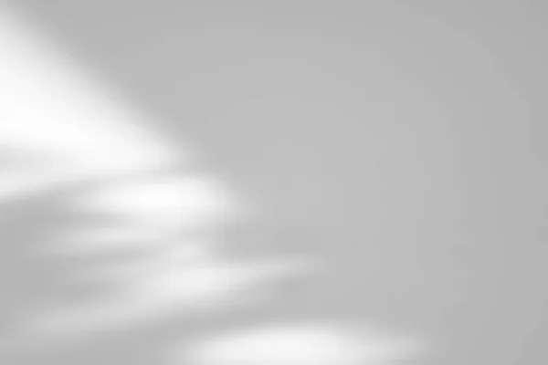 Schatten Overlay Effekt Auf Weißem Hintergrund Abstraktes Sonnenlicht Mit Organischen — Stockfoto