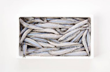 Gümüş çizgili yuvarlak ringa (donmuş ringa balığı))