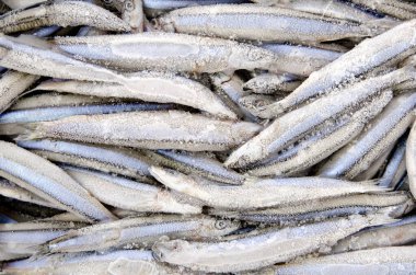 Gümüş çizgili yuvarlak ringa (donmuş ringa balığı))