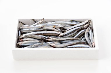 Beyaz arka planda köpük kutusunda gümüş çizgili yuvarlak ringa balığı.