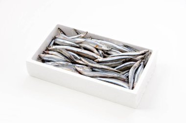 Beyaz arka planda köpük kutusunda gümüş çizgili yuvarlak ringa balığı.