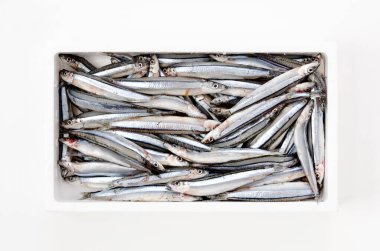 Beyaz arka planda köpük kutusunda gümüş çizgili yuvarlak ringa balığı.