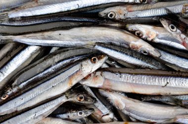 Gümüş çizgili ringa balığı arka planı veya dokusu