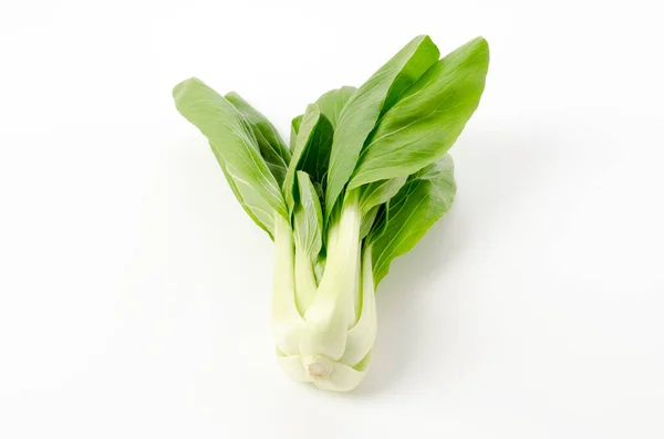 Bok Choy Repolho Chinês Fundo Branco — Fotografia de Stock