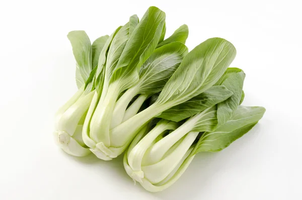 Bok Choy Kínai Káposzta Fehér Alapon — Stock Fotó