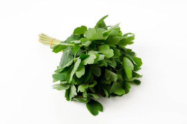 Chomeiso (Peucedanum japonicum) beyaz arkaplanda