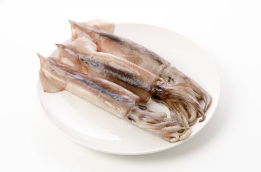 Beyaz tabakta Todarodes pasificus