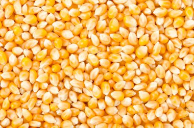 ham patlamış mısır dokusu arkaplanı